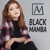 About Black Mamba Song