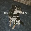 About Dust & Bones Song