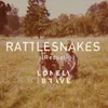 About Rattlesnakes Song