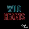 About Wild Hearts Song