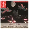 Wings and Hands (1972): II. Sweeping With My Eyes