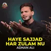 About Haye Sajjad Har Zulam Nu Song