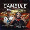 About Cambule Song
