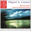 Cuentos de la Atlántida (obra colectiva para guitarra) - Jan Mayen: I. Introduzione e Allegro