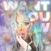 About Want You Now Song