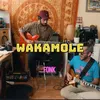 About Wakamole Fonk Song