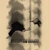 About Shoot Me Down Song