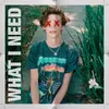 About WHAT I NEED Song