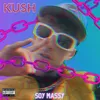 About Kush Song