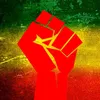 Reggae Revolution -