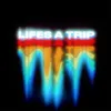 About Life's a Trip Song