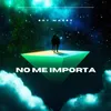 About No Me Importa Song