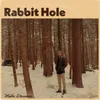 About Rabbit Hole Song