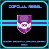 About Copilul Rebel Song