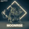 About Moonrise Song