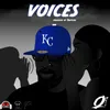 About Voices Song