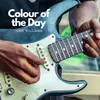 About Colour of the Day Song