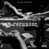 About Recunosc Song