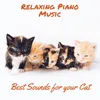 Relaxing Sounds for Your Cat