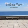 About Endless View Song