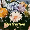 Destruction