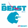 About Mrbeast Song