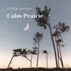 Calm Prairie