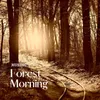 About Forest Morning Song