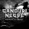 About Ganduri Negre Song