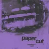 About Papercut Song