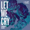 About Let Me Cry (A Brother's Lullaby) Song