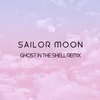 About Sailor Moon Song