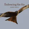 About Embracing the Air Song