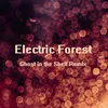 About Electric Forest Song