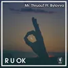 About R U Ok Song