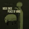 About Peace of Mind Song