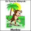 About Monkey Song