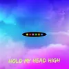 About Hold My Head High Song