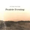 Prairie Evening