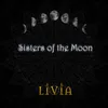 About Sisters of the Moon Song