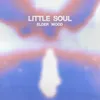 About Little Soul Song