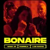 About Bonaire Song