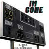 About I'm Gone Song