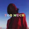 About Too Much Song