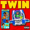 About Twin Song