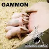 Gammon