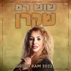 About שקרן - 2022 Song