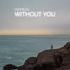 About Without You Song