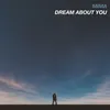 About Dream About You Song