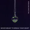 About Never Meant to Break Your Heart Song